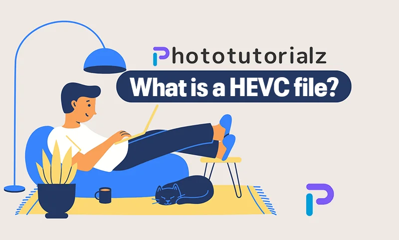 What is a HEVC file?