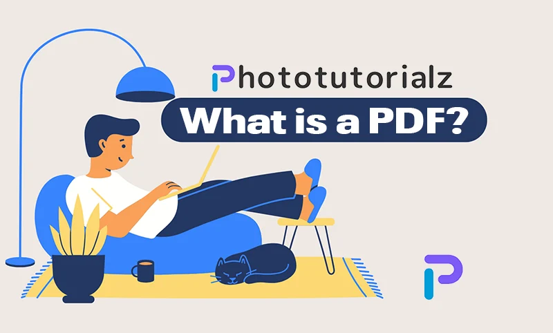What is a PDF?